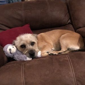 Meet your Posher, Hailey